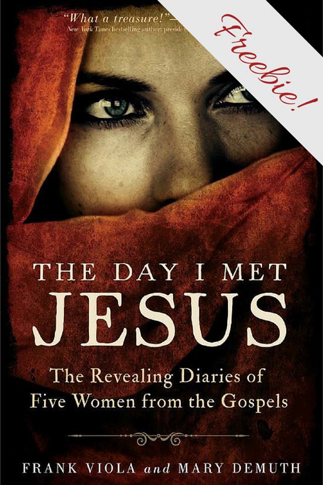 The Day I Met Jesus Freebie Chapter